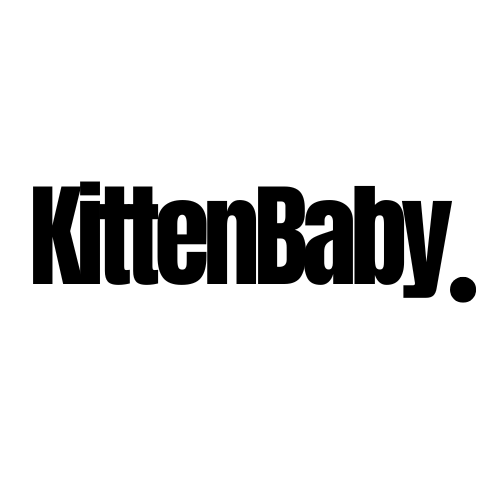 KittenBbaby